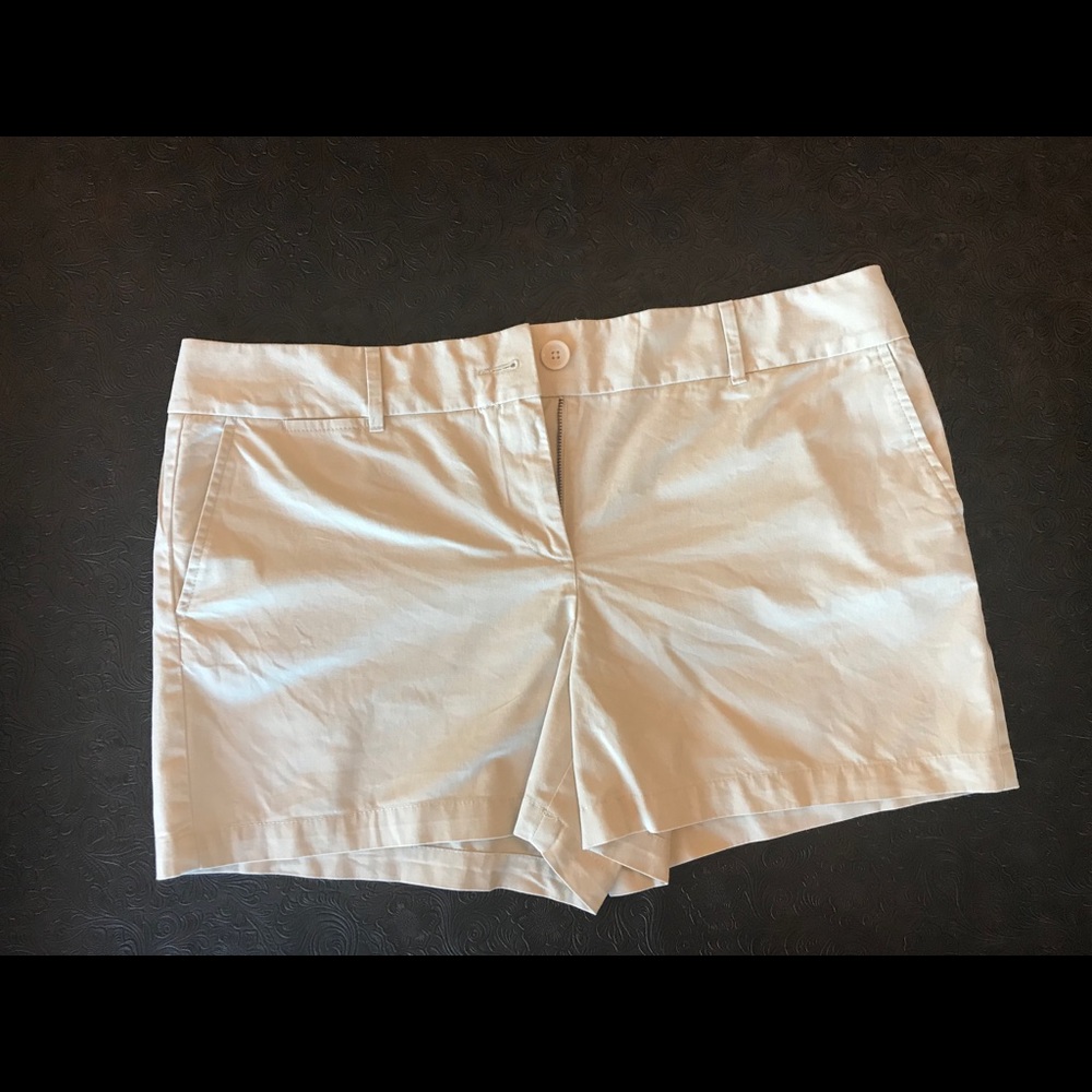 Ann Taylor Loft Riviera Shorts Size 14